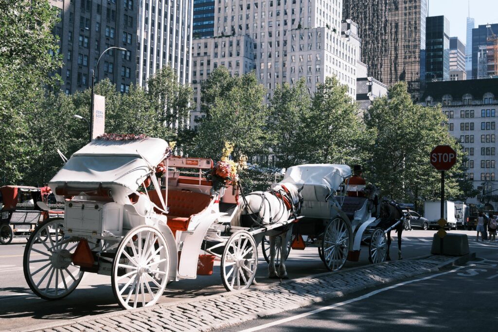 Trăsurile cu cai vor fi interzise în New York începând de anul viitor