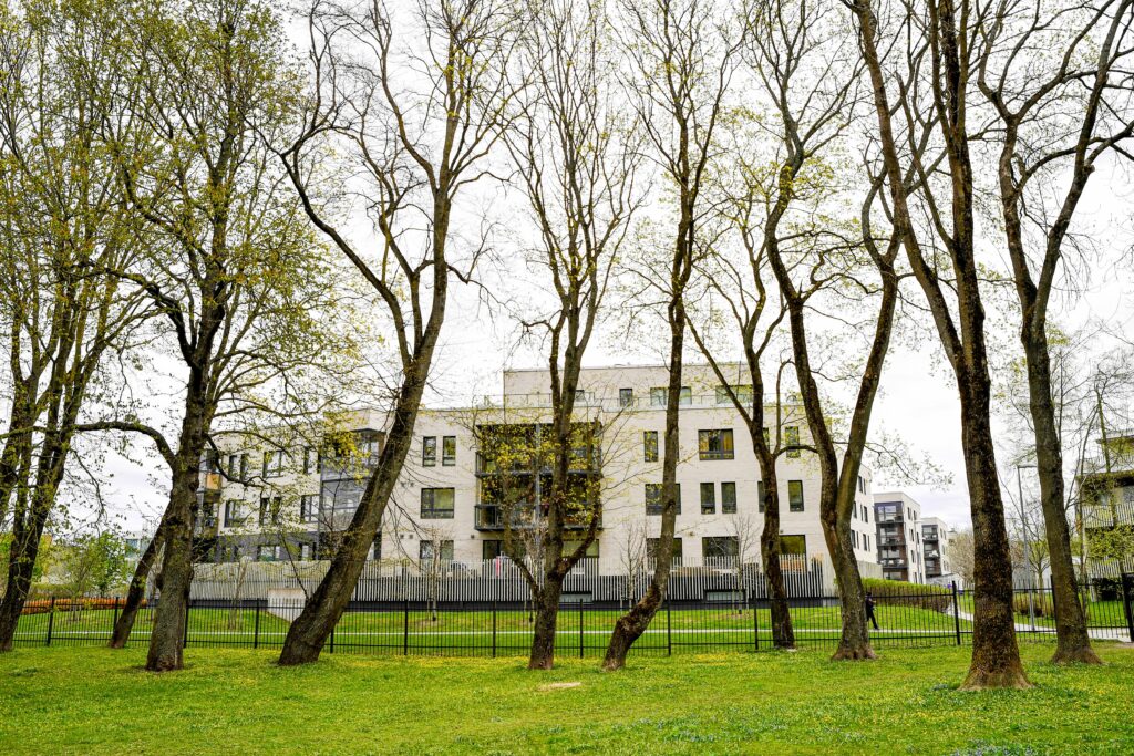 Zona în care locuim poate influența riscul îmbolnăvirii de demență. Spațiile verzi, importante pentru sănătate