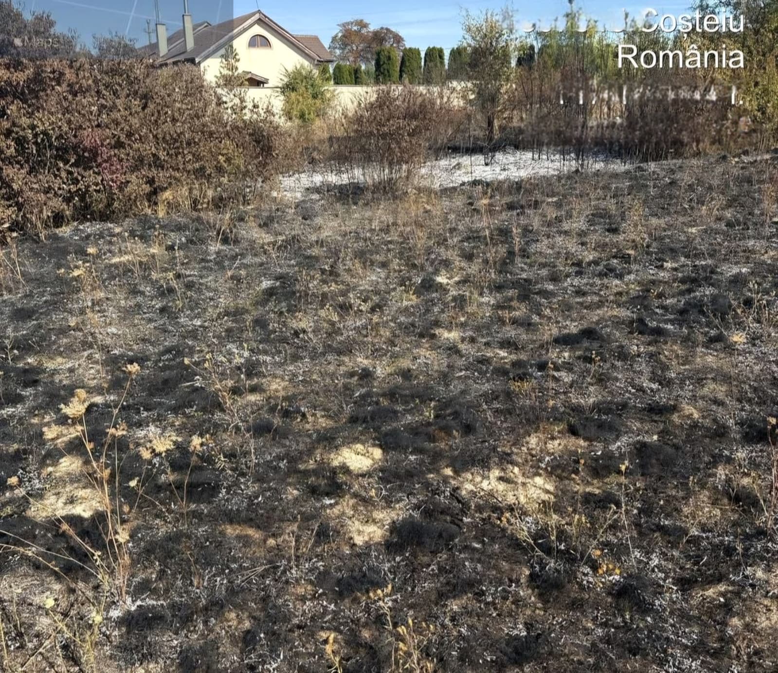 Șapte incendii de vegetație, izbucnite în doar 24 de ore în județul Timiș. Ce recomandă autoritățile