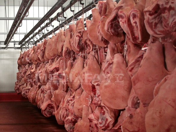 Activitate suspendată într-un abator din Franța după difuzarea unui videoclip cu animale maltratate