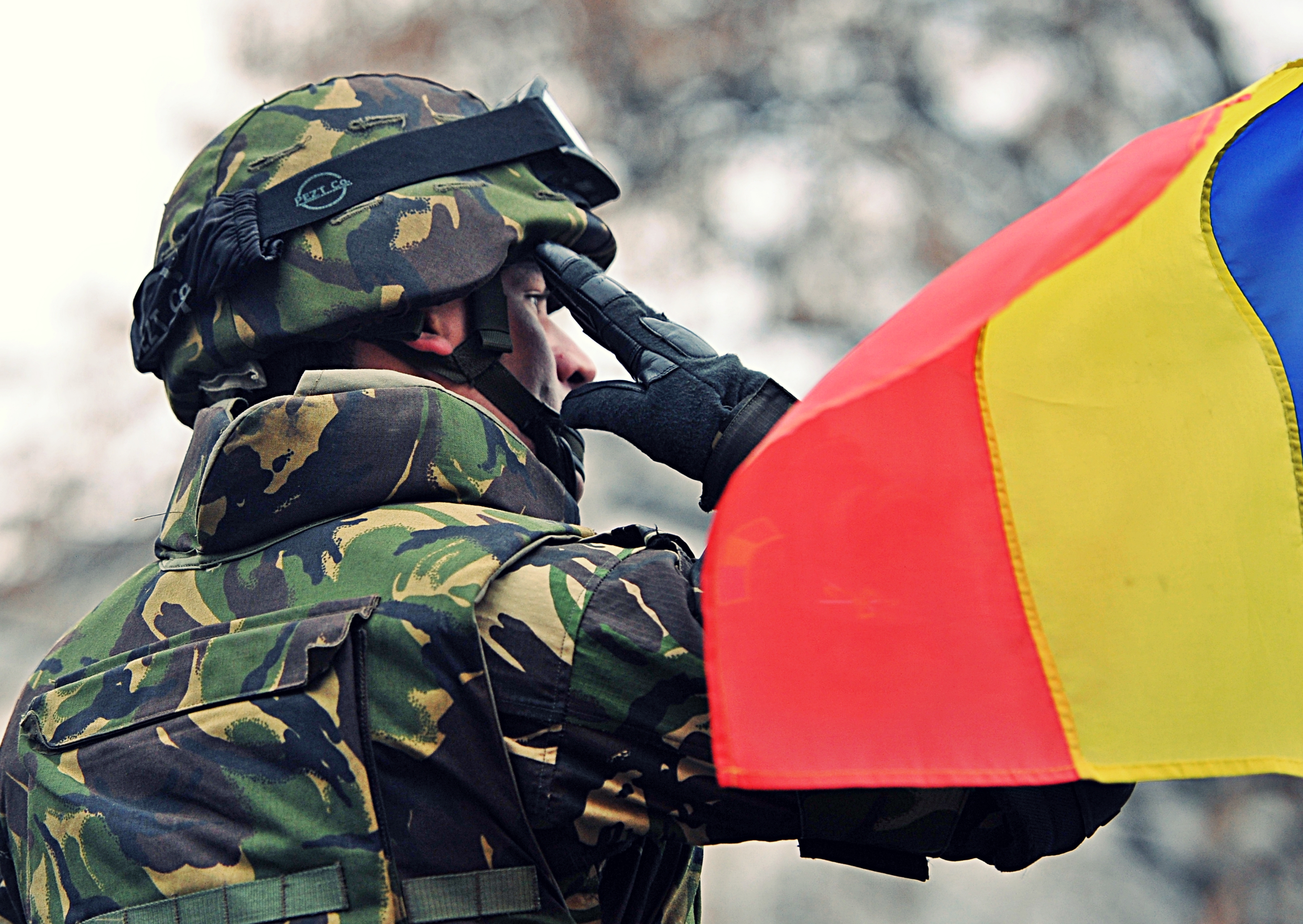 Ceremonii militare de Sfântul Mare Mucenic Gheorghe, Ziua Forțelor Terestre