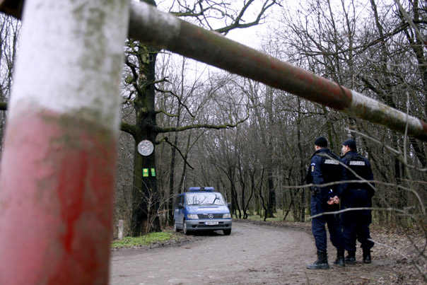 Un politist legitimeaza un conducator auto, in timpul unui filtru auto, in Ciorogarla, judetul Ilfov, joi, 29 ianuarie 2009. 