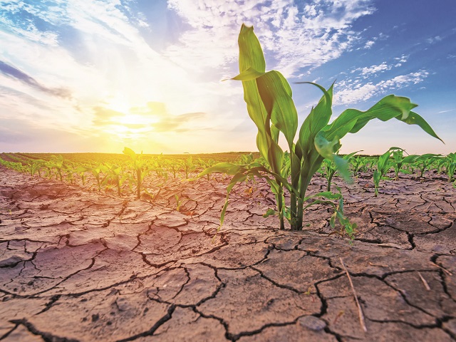 Prognoza meteo promite precipitații reduse și temperaturi variabile până la jumătatea lunii iunie