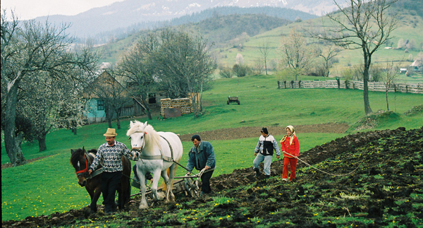 Agricultură