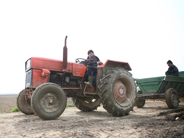 Proiect Rabla Tractor Fuia: Programul