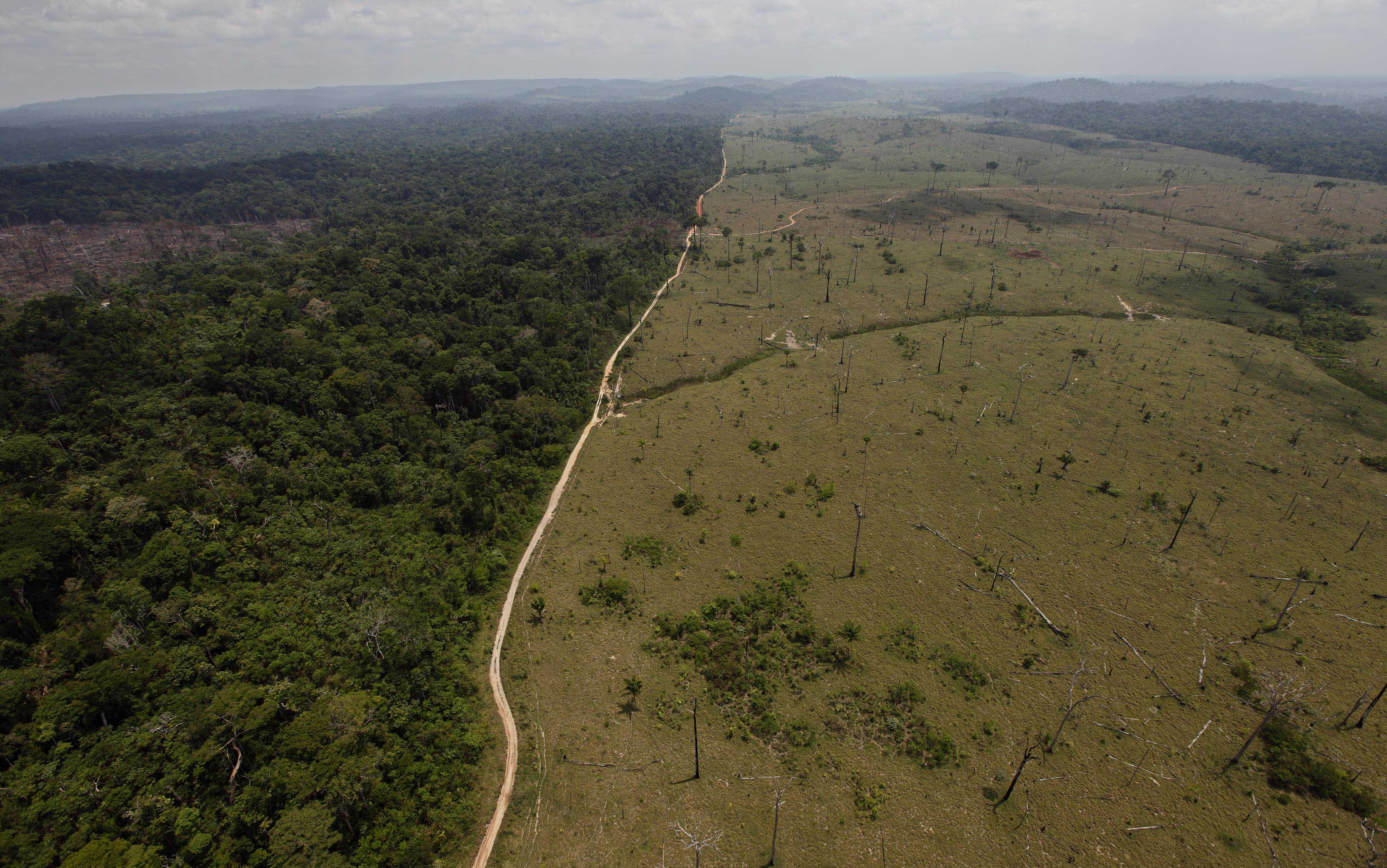 Oficial: Brazilia ar putea atinge un nivel istoric de defrişare în cel ...