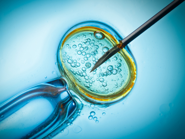 Normele pentru programul de Fertilizare in vitro, în dezbatere publică